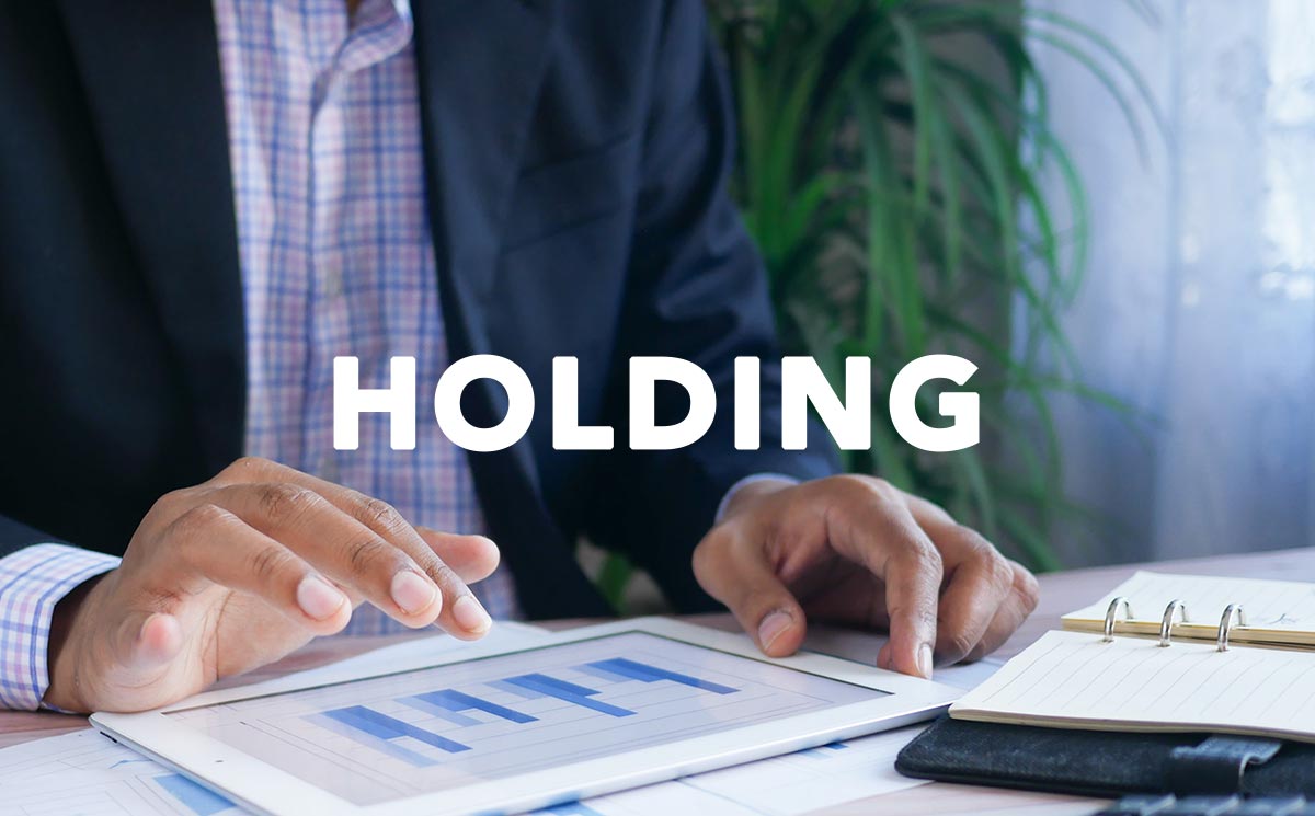 Holding company: what it is constitution types strategies and costs Holding company: what it is constitution types strategies and costs